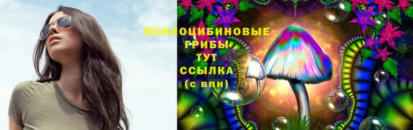 мяу мяу мука Балабаново