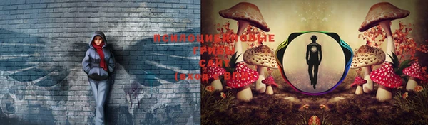 мяу мяу мука Балабаново