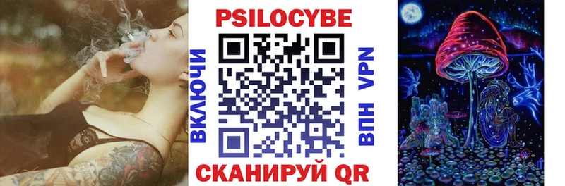 сколько стоит Невель Псилоцибиновые грибы мицелий